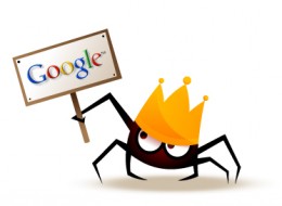 google spider